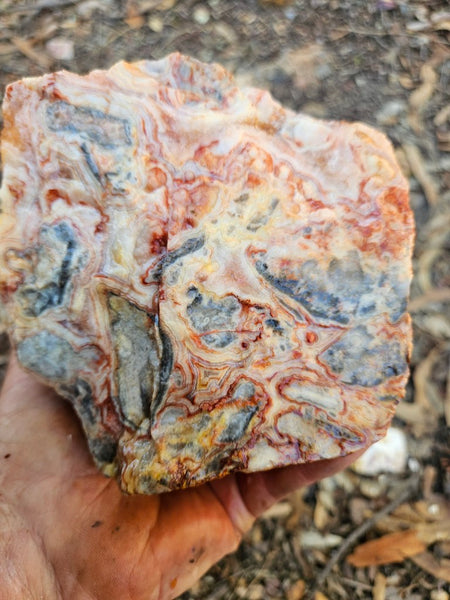 Crazy Lace Agate rough.  CLR 135