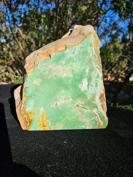 Polished Variscite   VP309