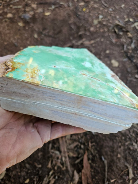 Polished Variscite   VP309