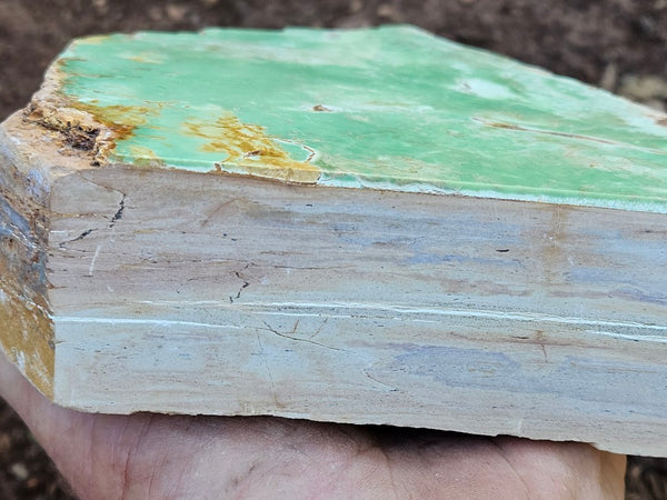 Polished Variscite   VP309