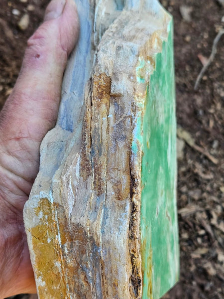 Polished Variscite   VP309