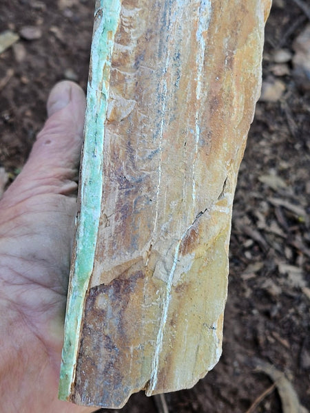 Polished Variscite   VP309