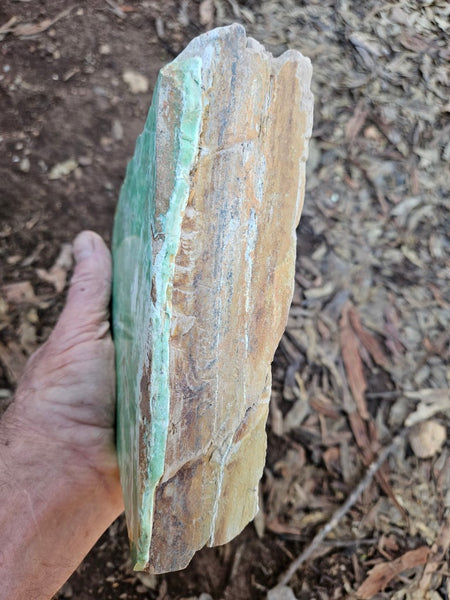 Polished Variscite   VP309