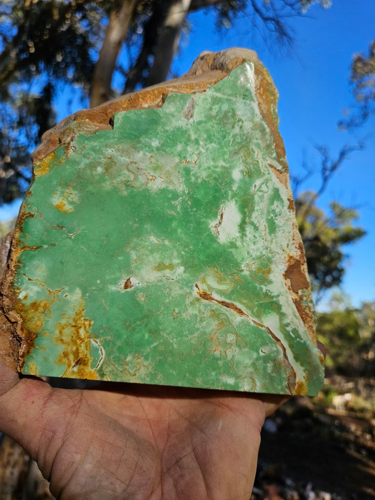 Polished Variscite   VP309