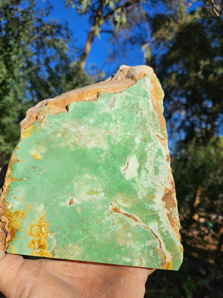 Polished Variscite   VP309