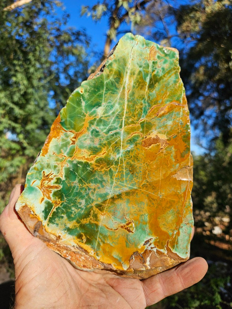 Polished Variscite   VP308
