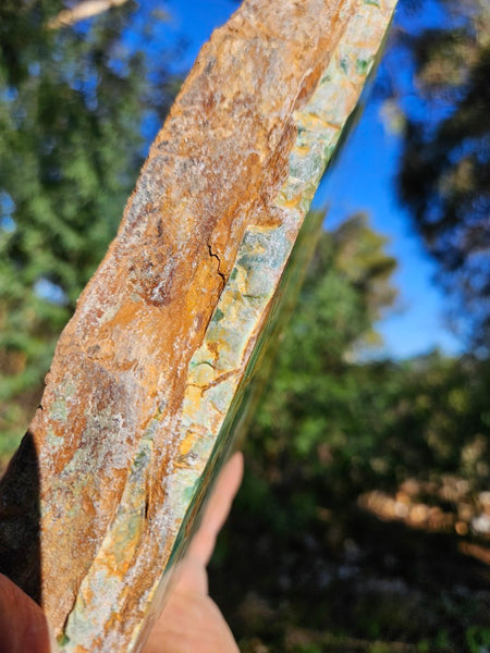 Polished Variscite   VP308