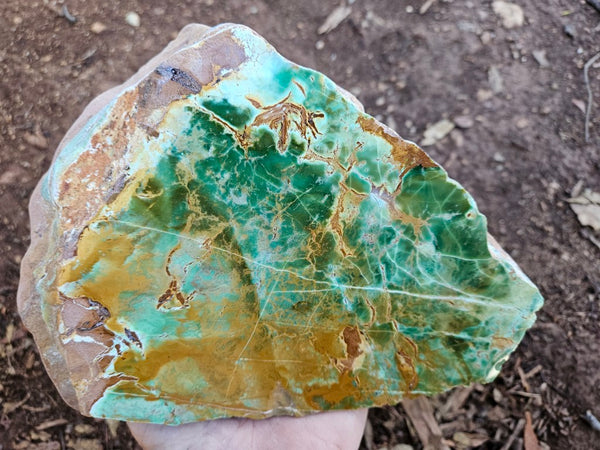 Polished Variscite   VP308