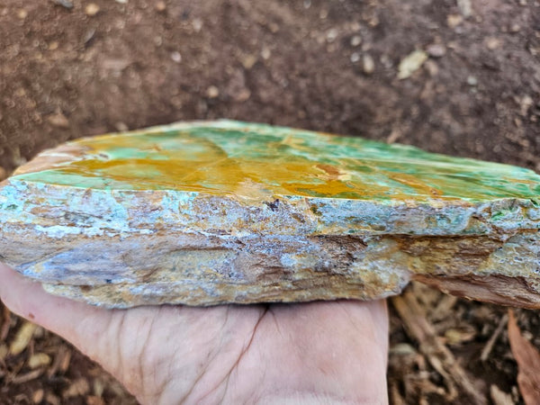Polished Variscite   VP308