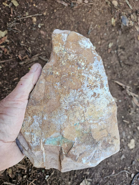 Polished Variscite   VP308