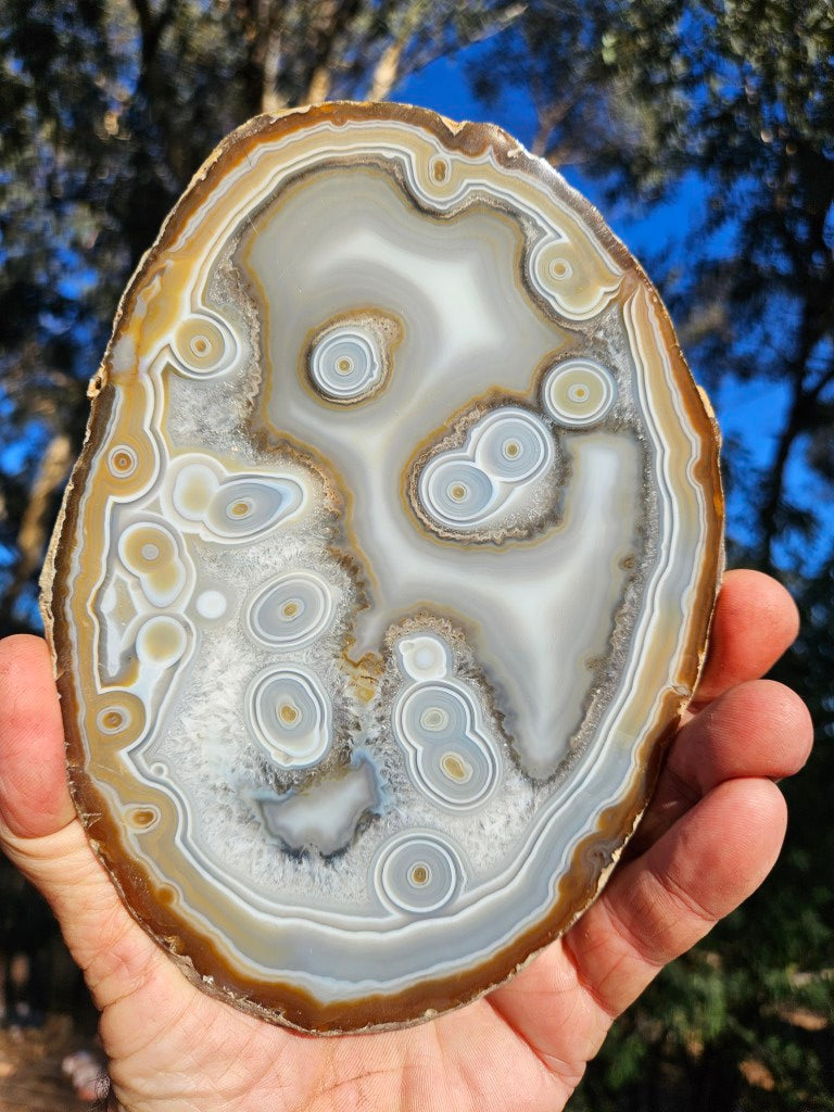 Polished Brazilian Agate slab . BA119