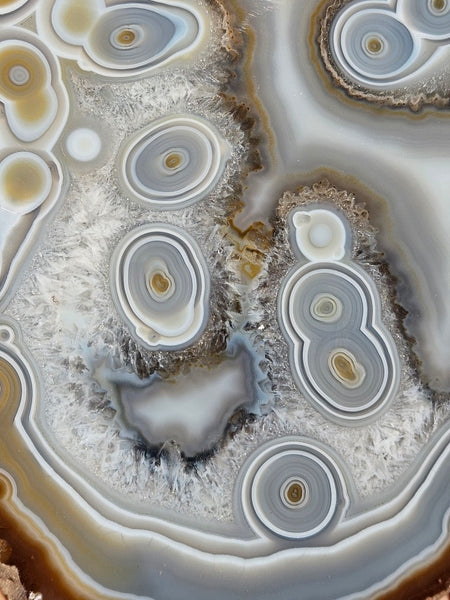 Polished Brazilian Agate slab . BA119