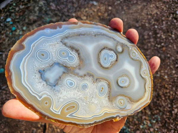 Polished Brazilian Agate slab . BA119