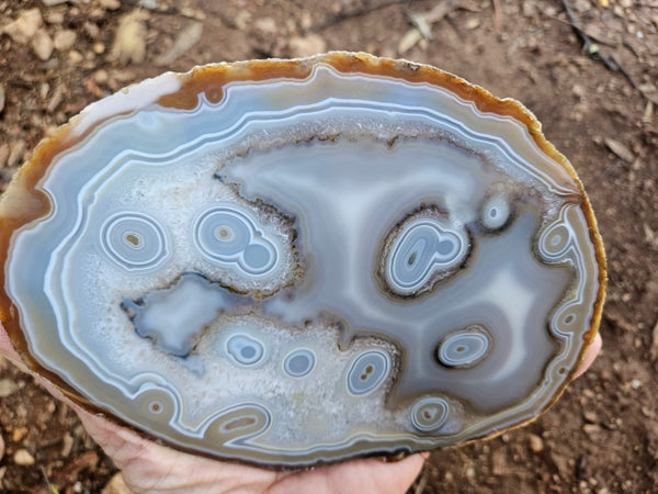 Polished Brazilian Agate slab . BA119