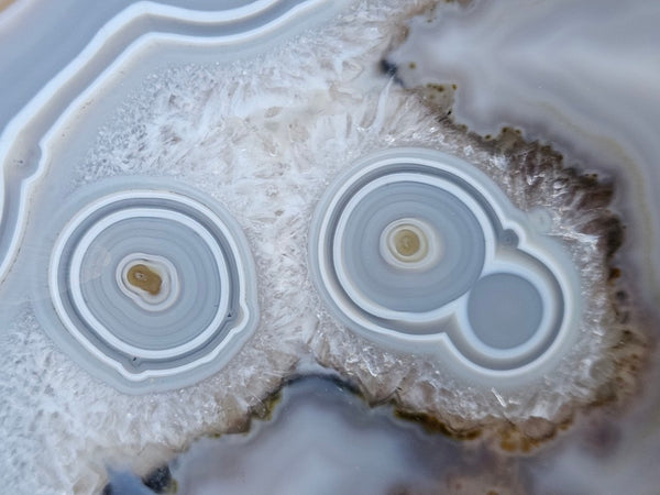 Polished Brazilian Agate slab . BA119
