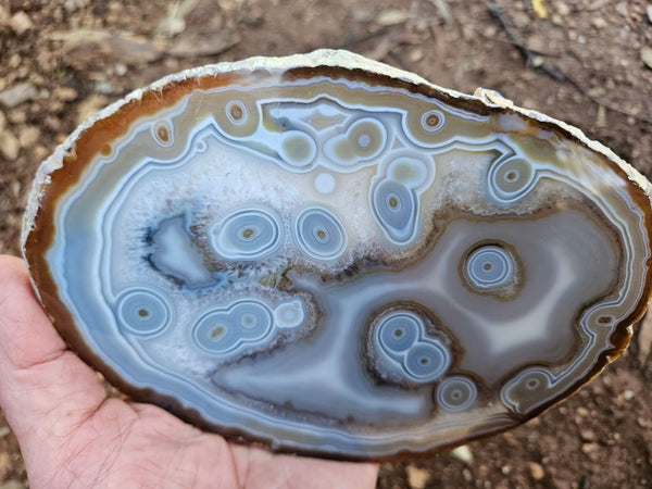 Polished Brazilian Agate slab . BA119