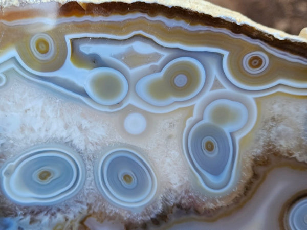 Polished Brazilian Agate slab . BA119