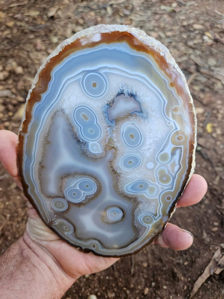 Polished Brazilian Agate slab . BA119
