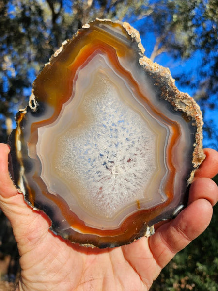 Polished Brazilian Agate slab . BA120