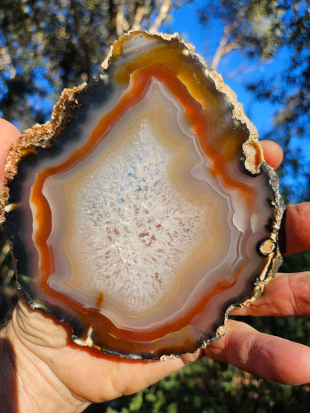 Polished Brazilian Agate slab . BA120