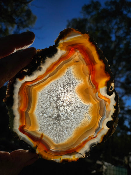 Polished Brazilian Agate slab . BA120