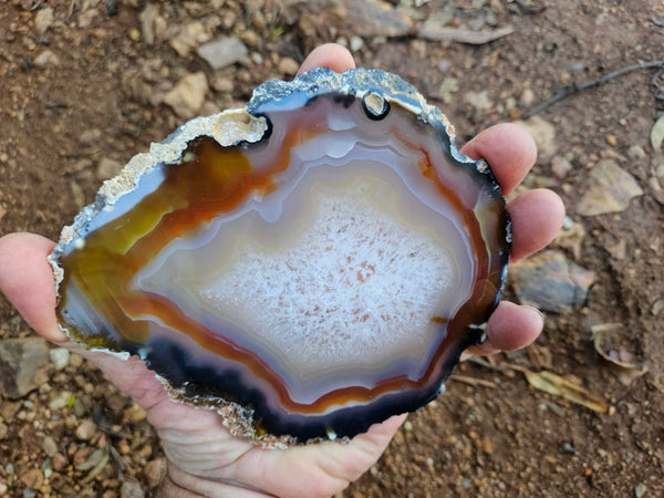 Polished Brazilian Agate slab . BA120