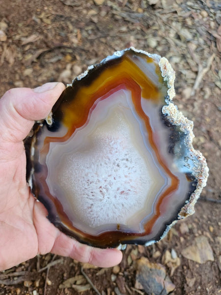 Polished Brazilian Agate slab . BA120