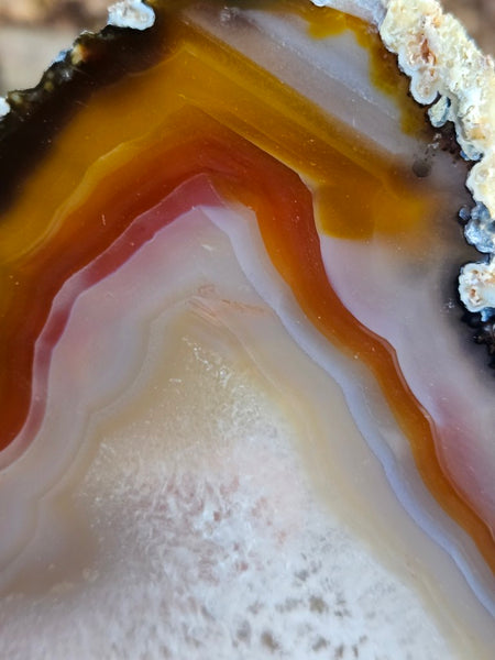 Polished Brazilian Agate slab . BA120