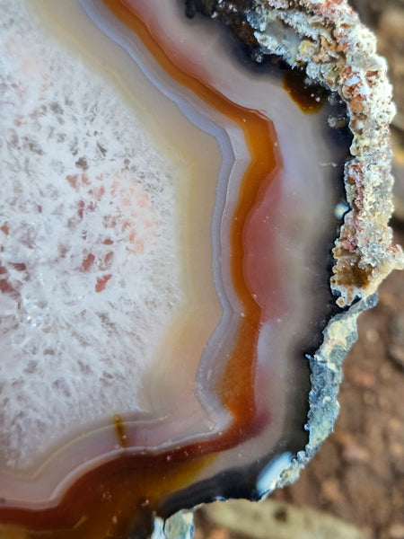 Polished Brazilian Agate slab . BA120