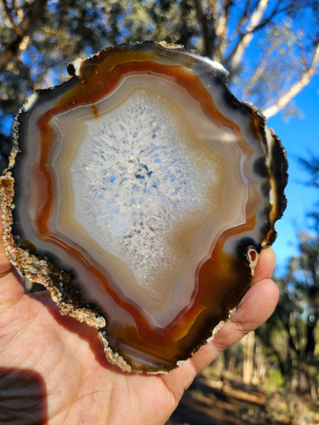 Polished Brazilian Agate slab . BA120