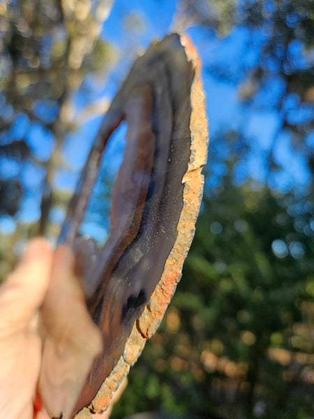 Polished Brazilian Agate slab . BA121