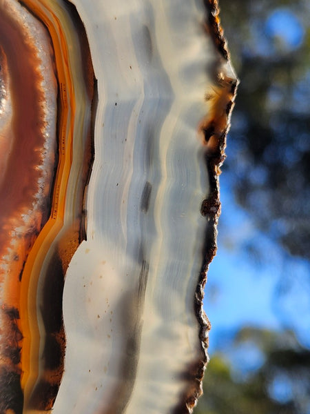 Polished Brazilian Agate slab . BA121