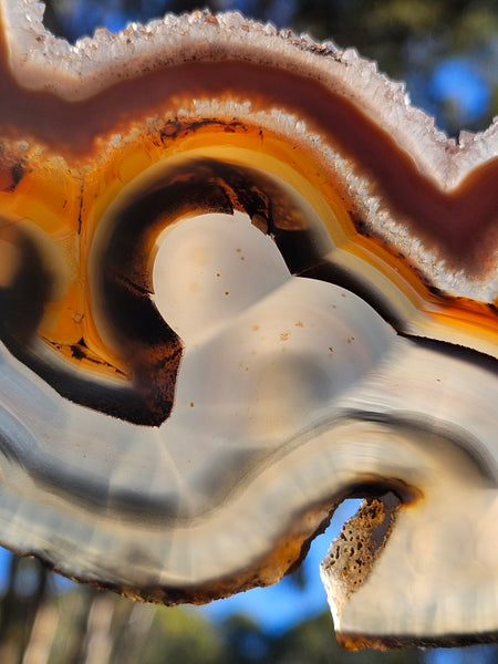 Polished Brazilian Agate slab . BA121