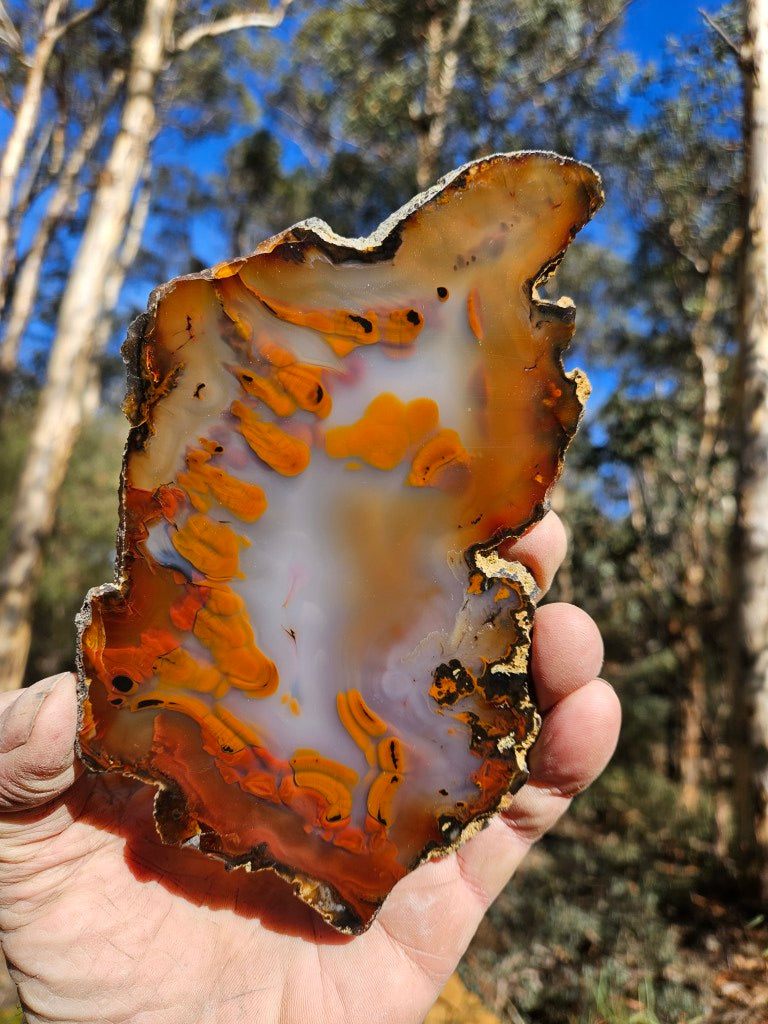Polished Brazilian Agate . BA117