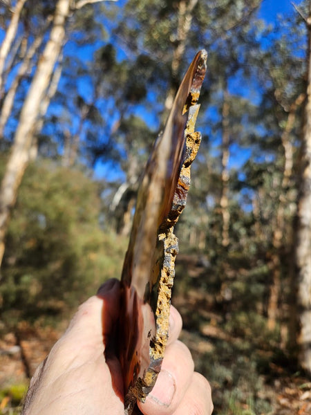 Polished Brazilian Agate . BA117