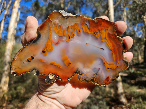 Polished Brazilian Agate . BA117