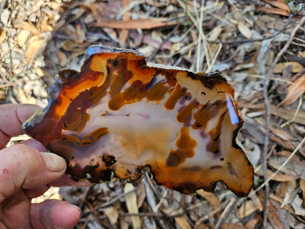 Polished Brazilian Agate . BA117