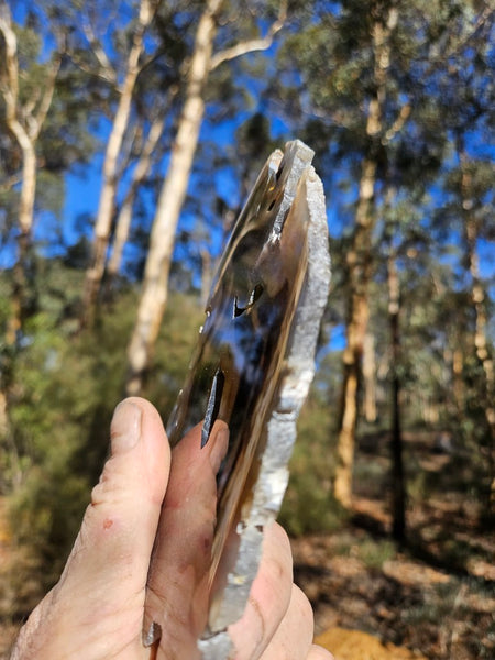 Polished Brazilian Agate . BA116