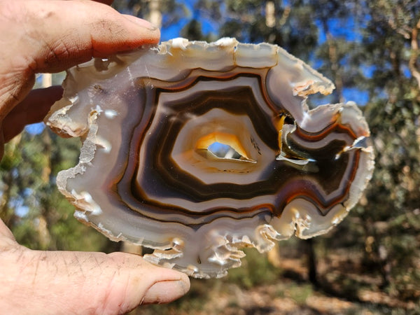 Polished Brazilian Agate . BA116
