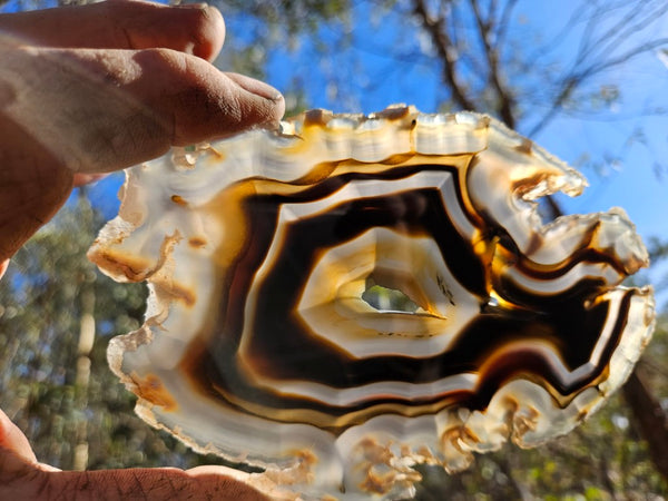 Polished Brazilian Agate . BA116
