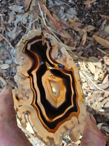 Polished Brazilian Agate . BA116