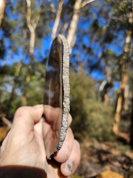 Polished Brazilian Agate . BA114