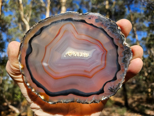 Polished Brazilian Agate . BA114