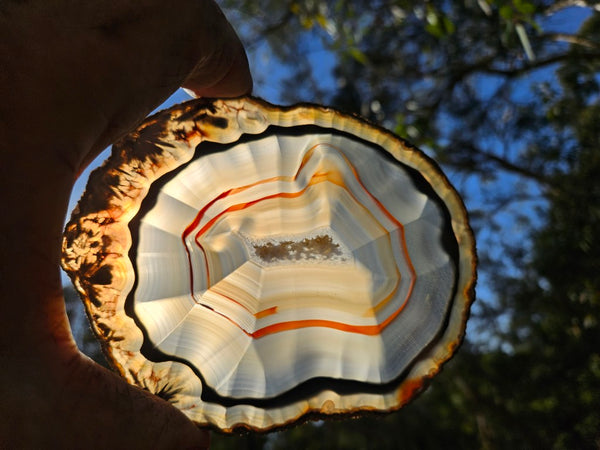 Polished Brazilian Agate . BA114
