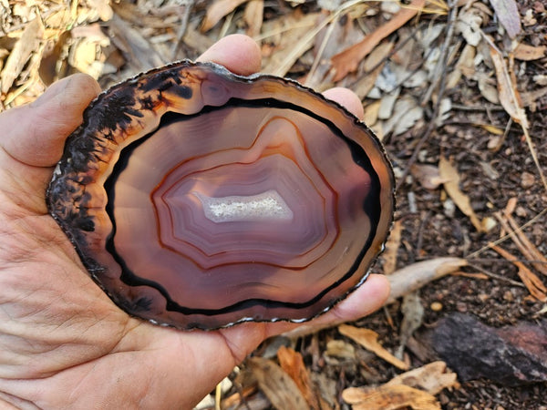 Polished Brazilian Agate . BA114