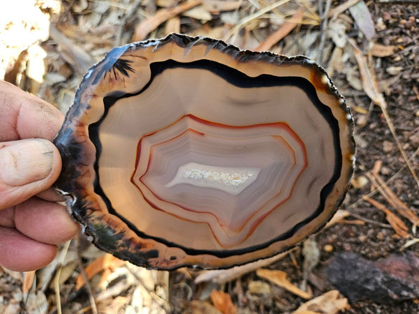 Polished Brazilian Agate . BA114