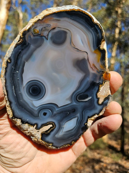 Polished Brazilian Agate . BA113