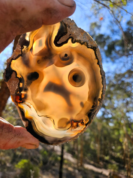 Polished Brazilian Agate . BA113