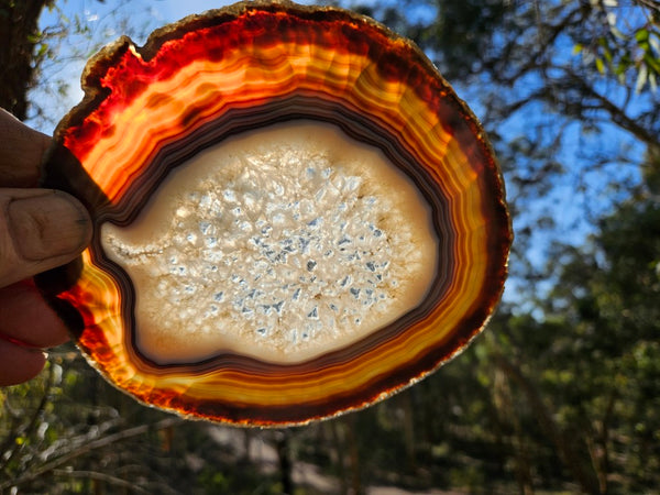 Polished Brazilian Agate . BA111
