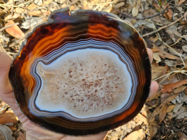 Polished Brazilian Agate . BA111